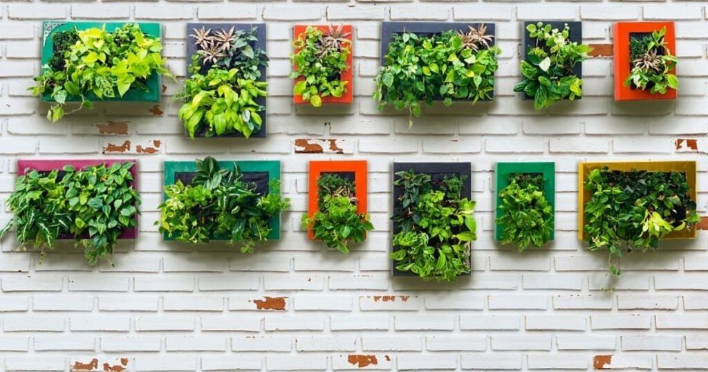 Tipos de estructuras para plantas para jard&iacute;n vertical