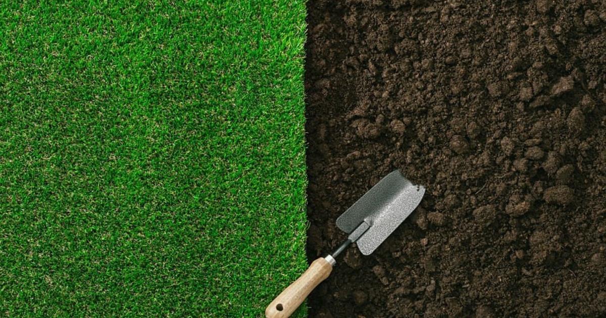 Aplica bien el humus de lombriz 