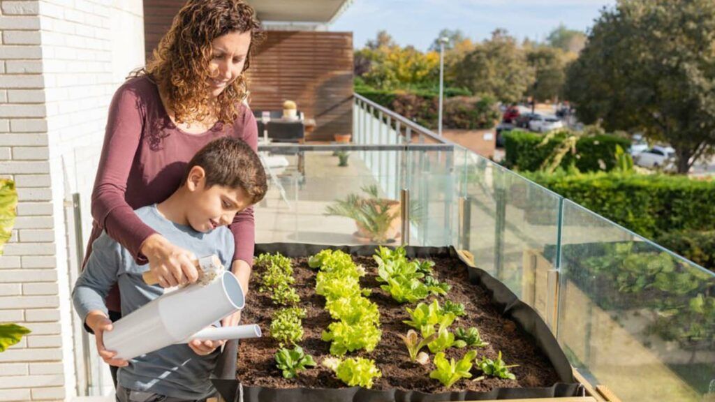 Qué es la agricultura urbana y los beneficios