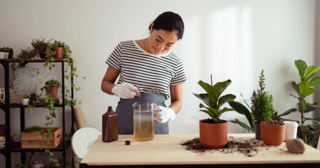 Densidad promedio de las trampas para control de plagas