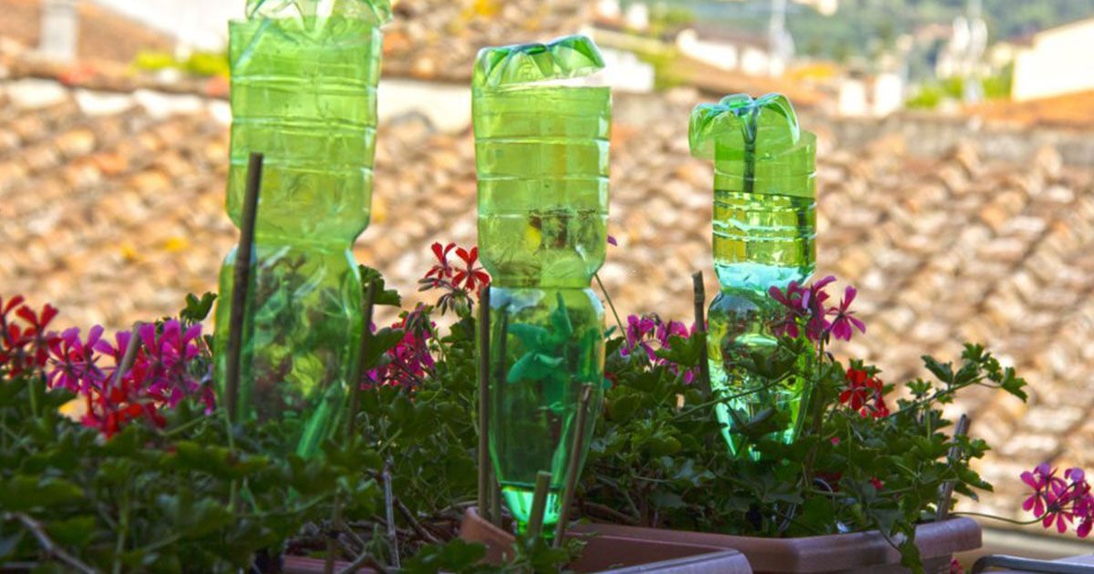 Ventajas de la organoponía Ventajas de la organoponía