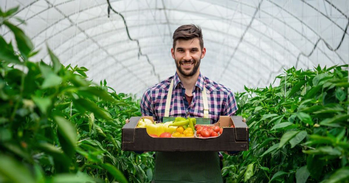 Aprende qué es la horticultura orgánica