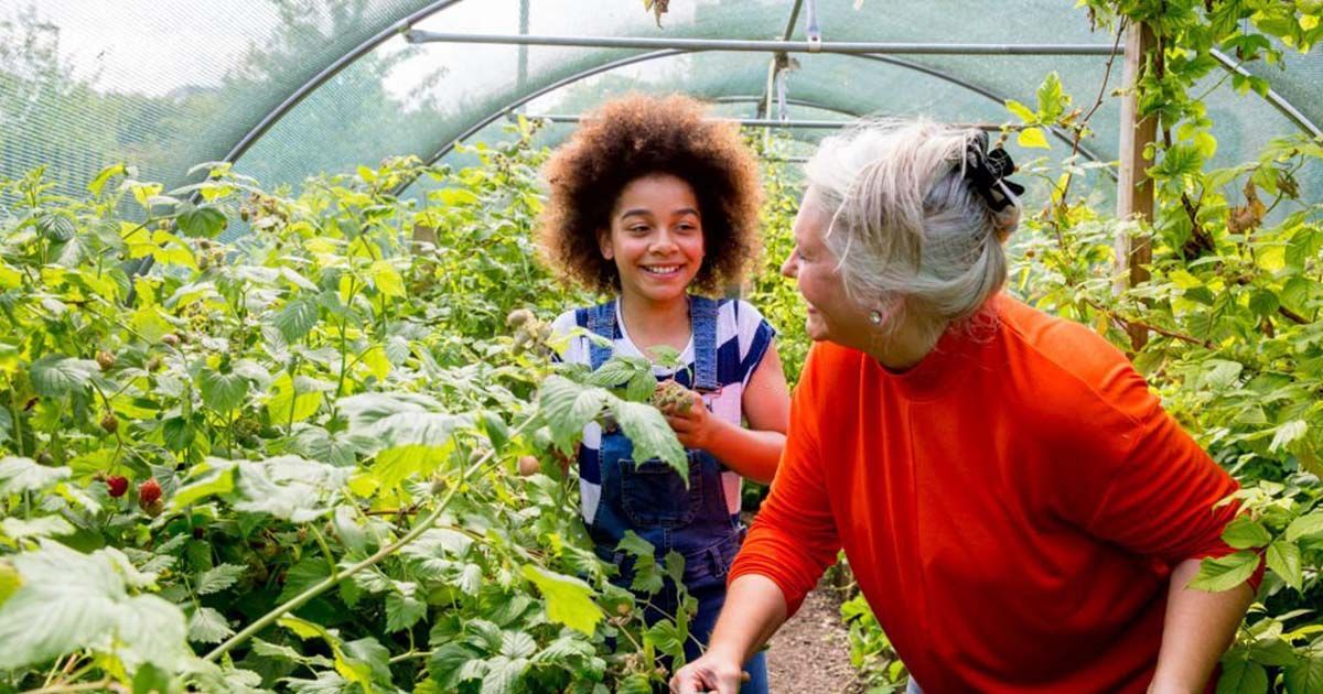 Agricultura ecológica en España y sus objetivos fundamentales