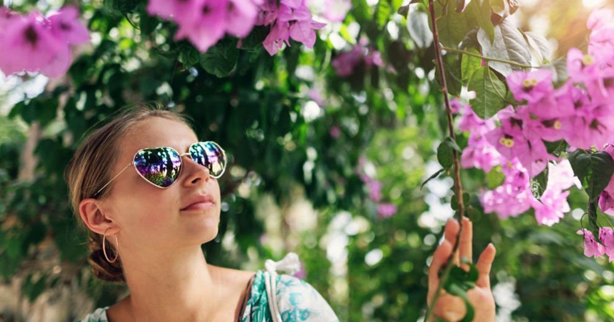 Conoce las plantas vivaces para tu jardín