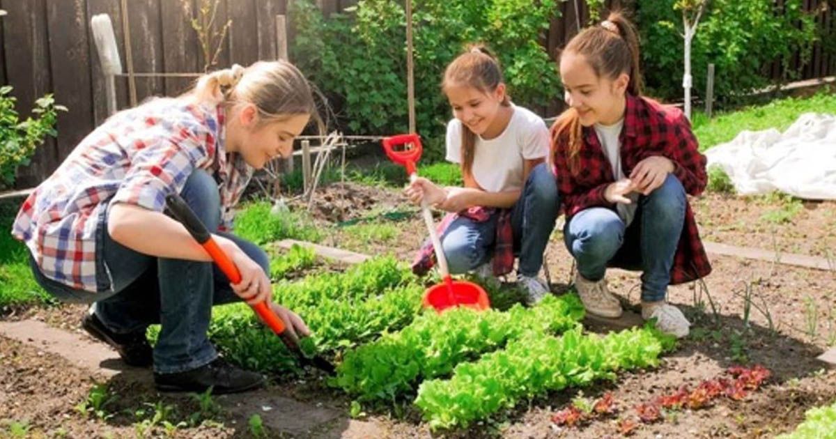 Diferencia entre los bioestimulantes y los biofertilizantes