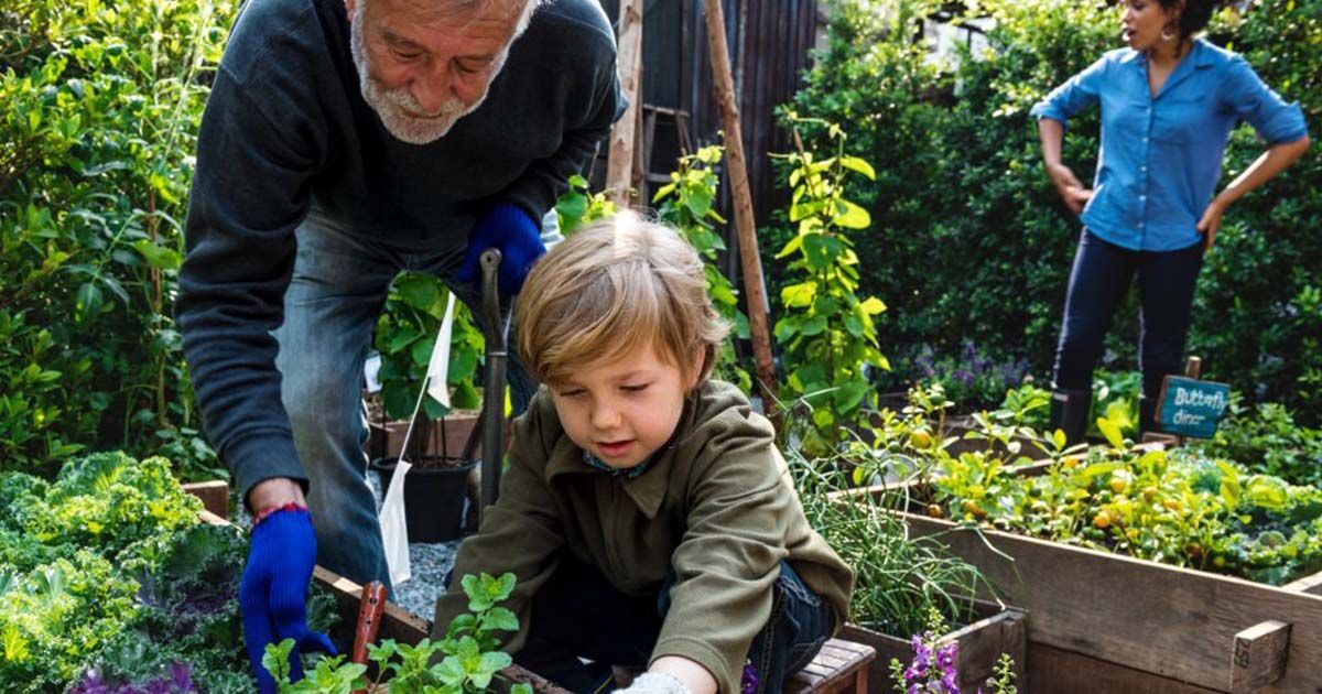 Instalar tu huerto o jardín ecológico en casa
