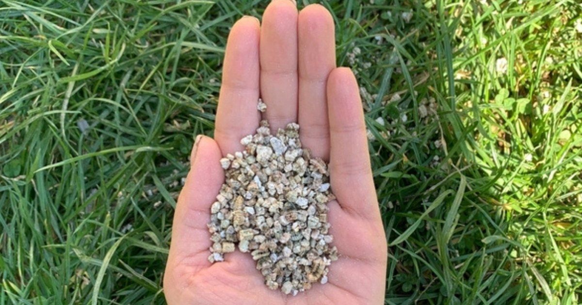 Usos de la vermiculita en la jardinería y la agricultura