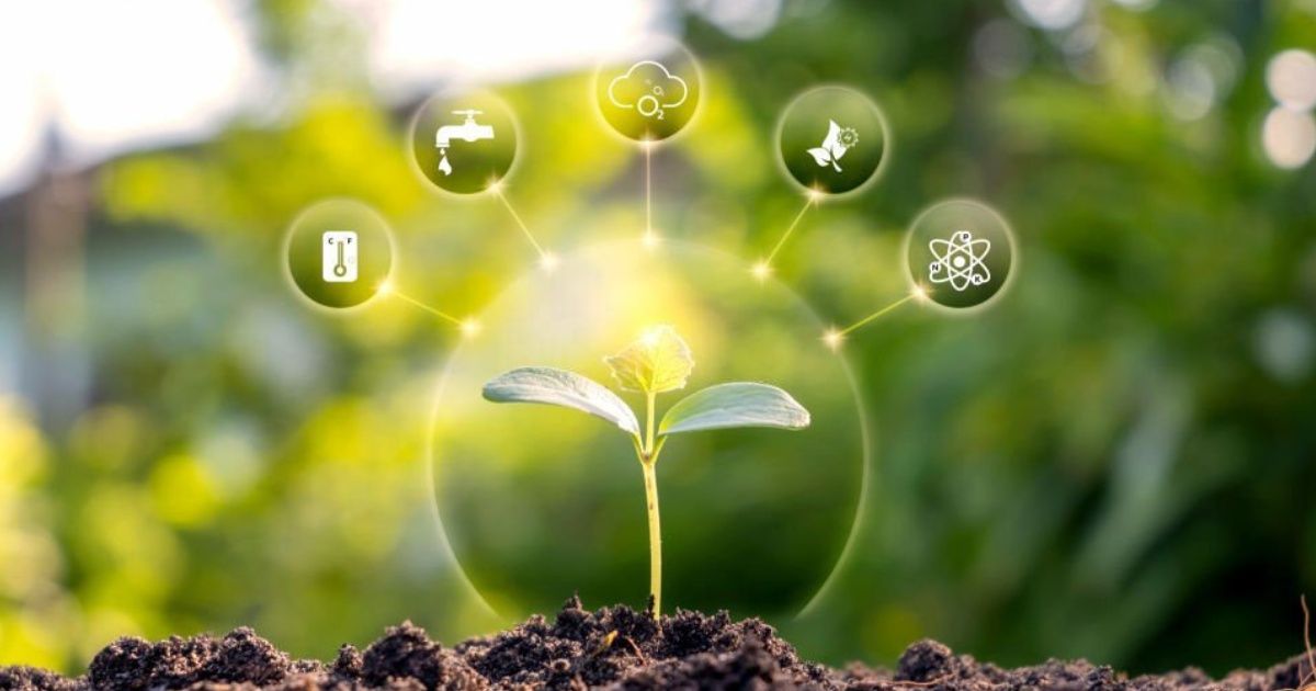 Sostenibilidad ecológica en el huerto