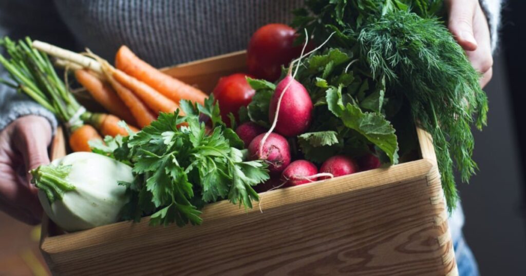 Humus Natural y las verduras que puede sembrar en época invernal