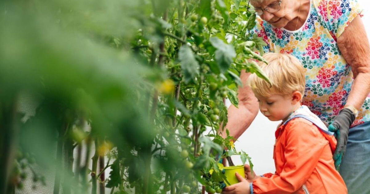Humus Natural te habla de la sostenibilidad en tu huerto ecológico Humus Natural te habla de la sostenibilidad en tu huerto ecológico