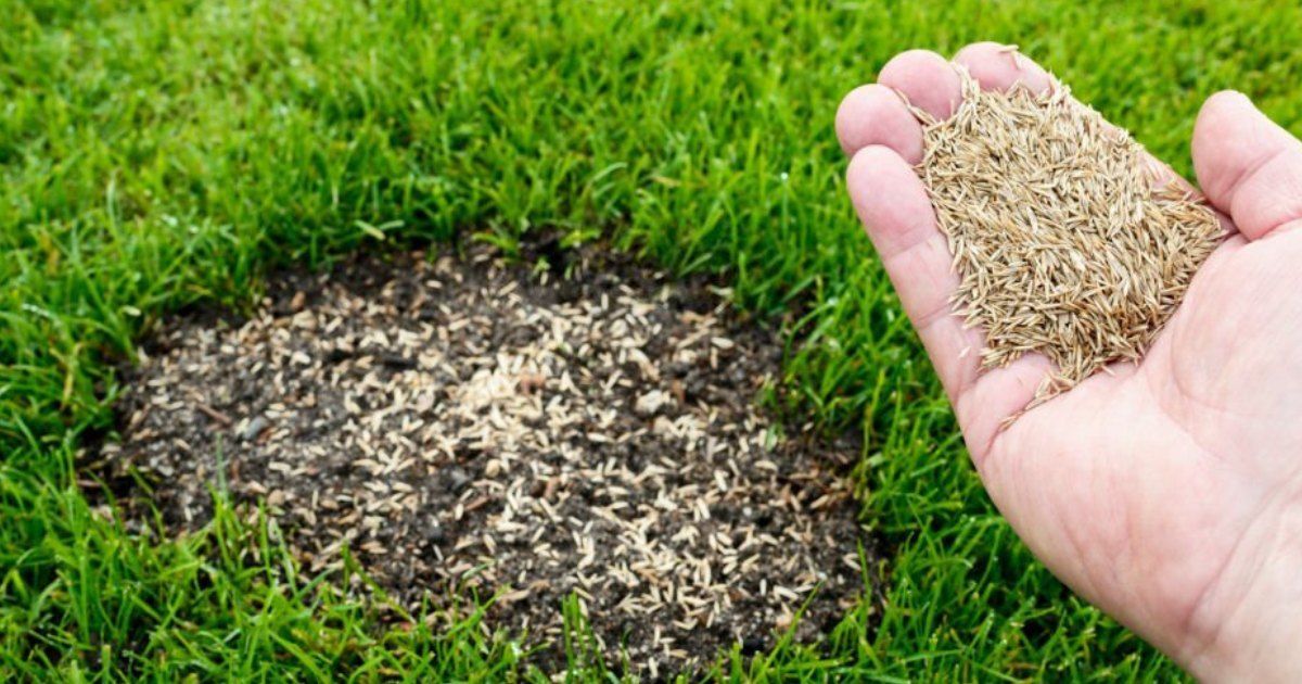 Conoce las tareas de jardiner&iacute;a en febrero