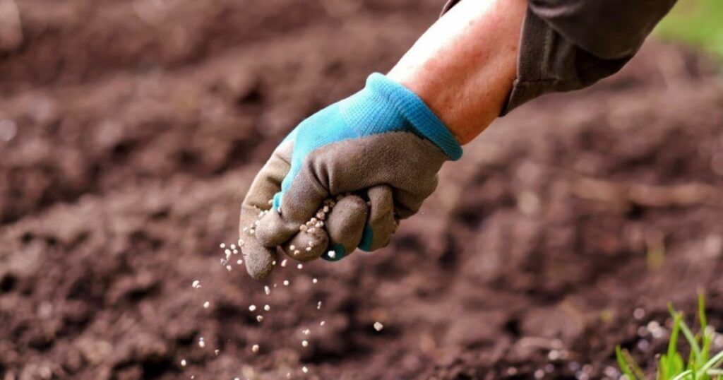 Fertilizantes que puede encontrar en la actualidad