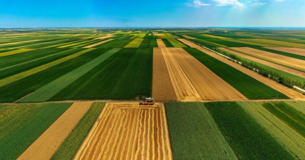 Beneficios que ofrece la técnica del barbecho en agricultura