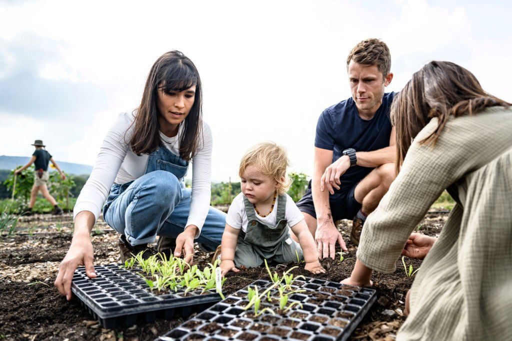 Humus Natural te presenta ¿cómo cultivar en semilleros?