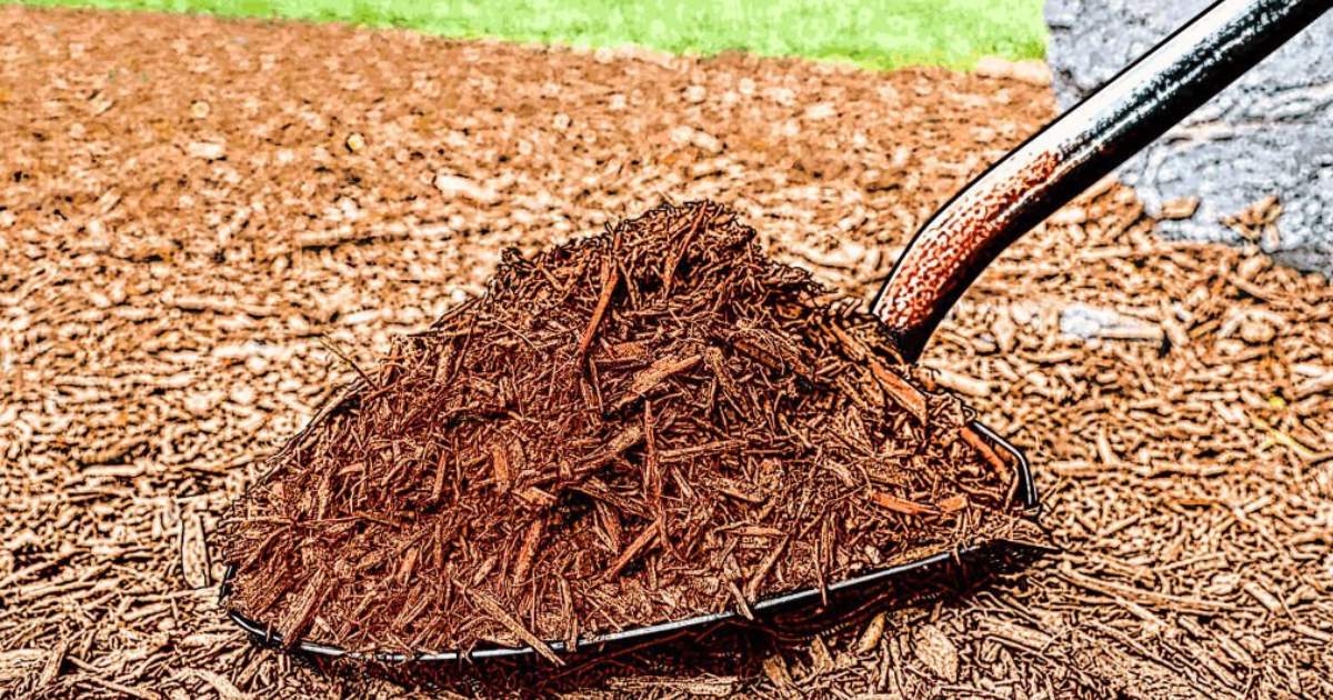 Identificar el tipo de terreno disponible para la siembra Identificar el tipo de terreno disponible para la siembra