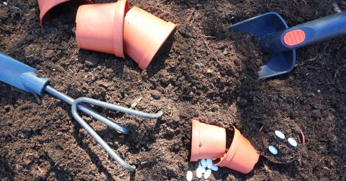 Humus Natural y cómo debes preparar la tierra para el huerto