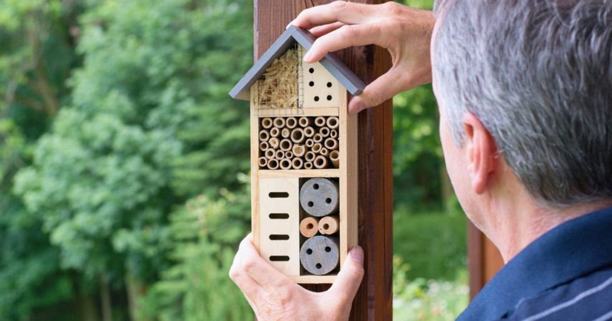 Materiales para construir un hotel para insectos