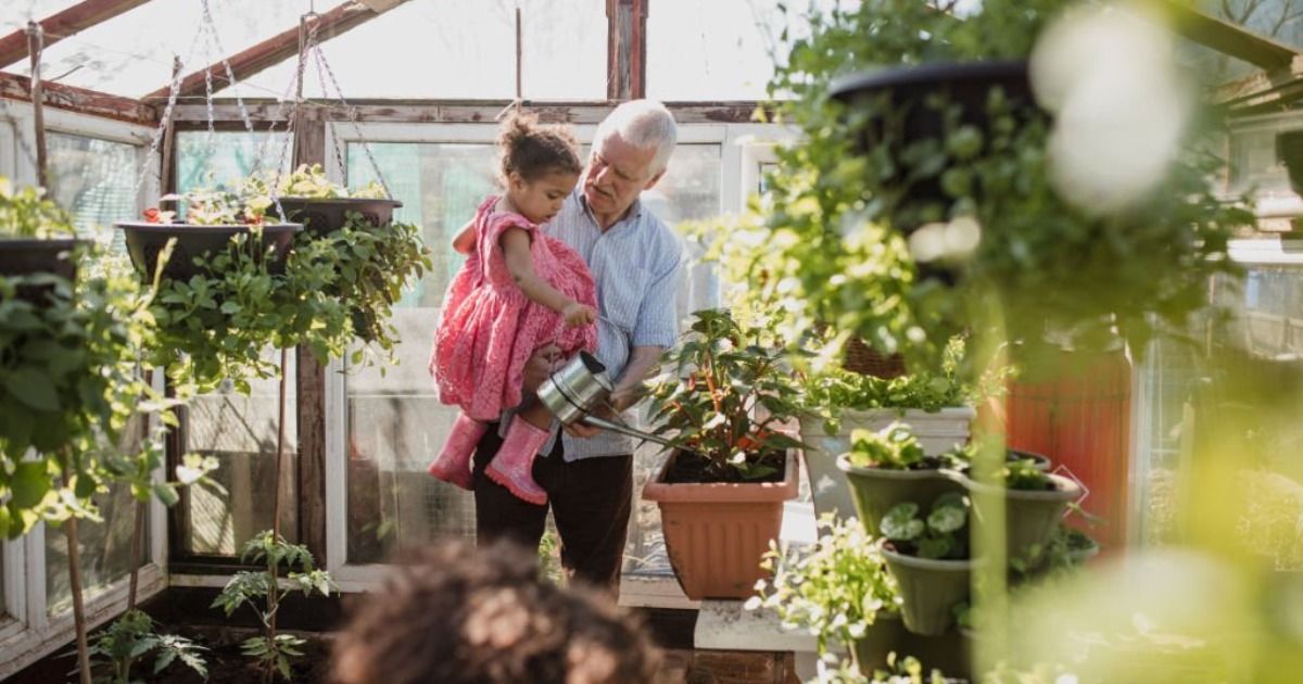 C&oacute;mo hacer un invernadero en casa paso a paso
