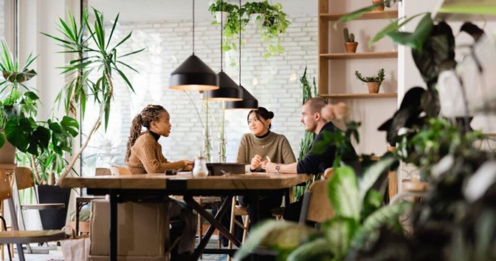 Las mejores plantas para tener en la oficina