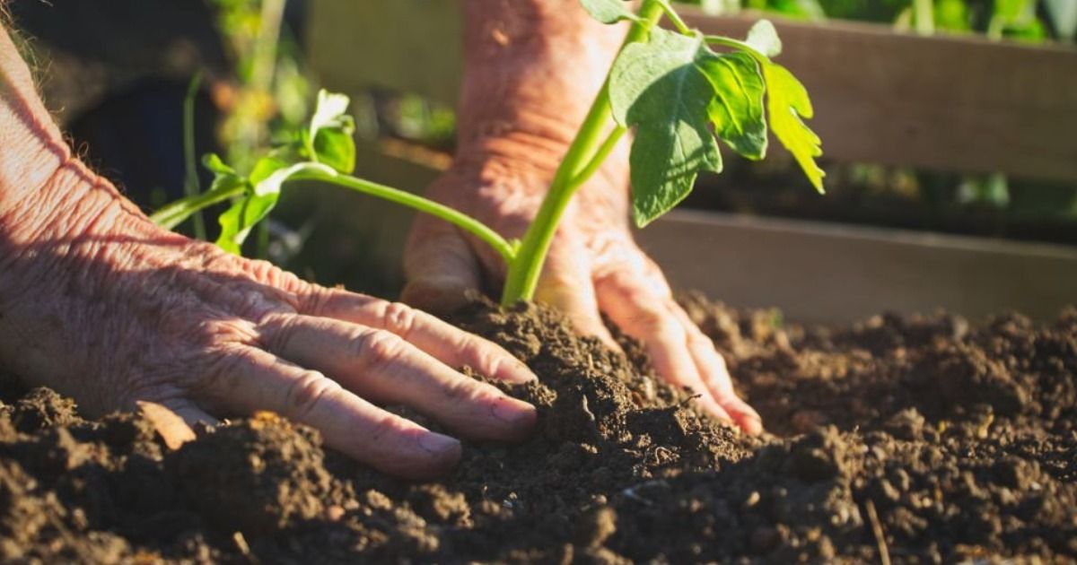 ¿Cuáles son los tipos de agricultura que existen en España?